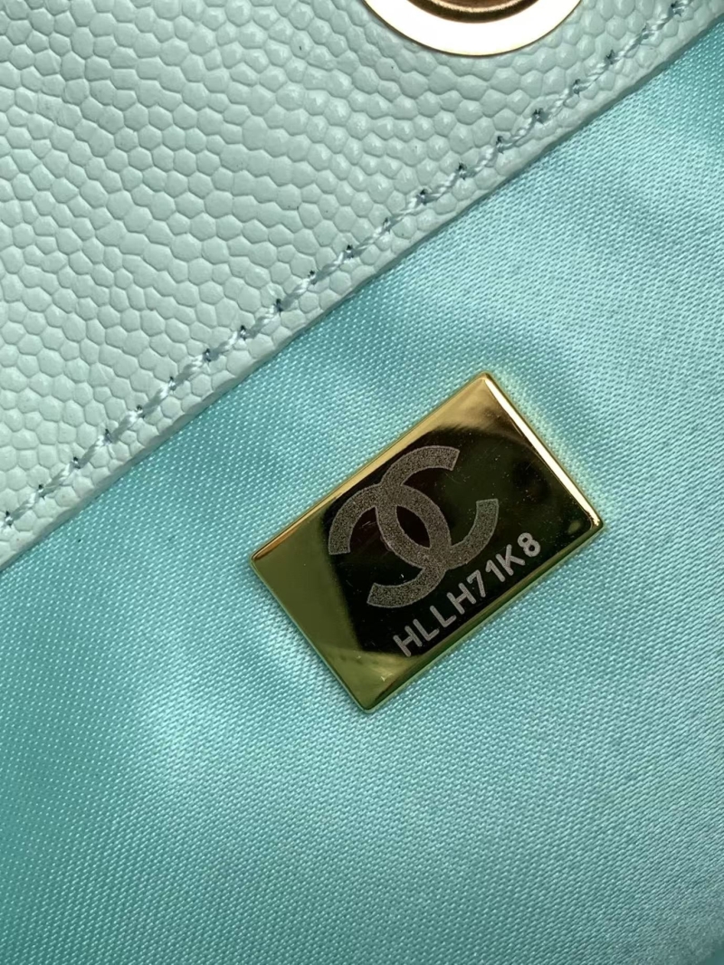 Ch**el 25c hobo bags